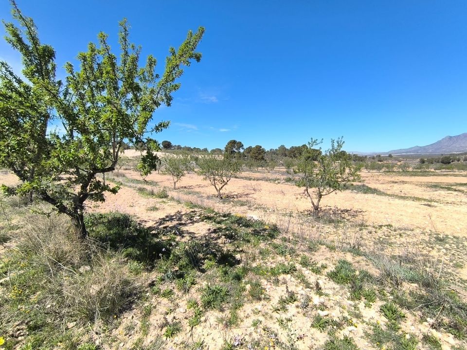 Helårsgrund i La Zarza, Murcia - foto 3