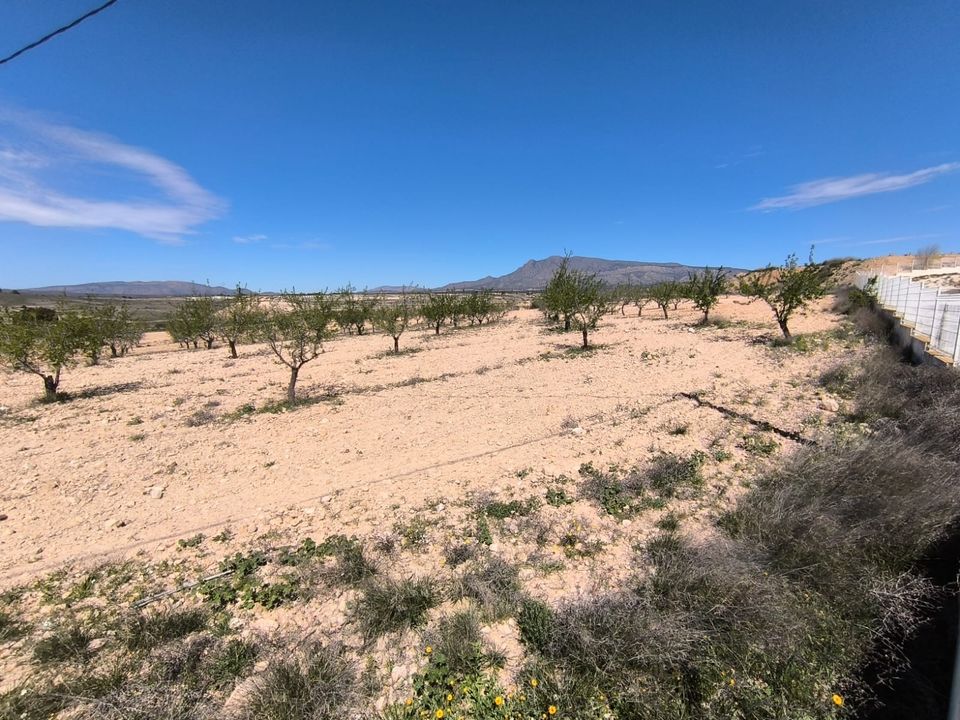 Terreno en Jumilla, Murcia - foto 3