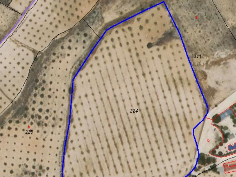 Terreno en Jumilla, Murcia - foto 4