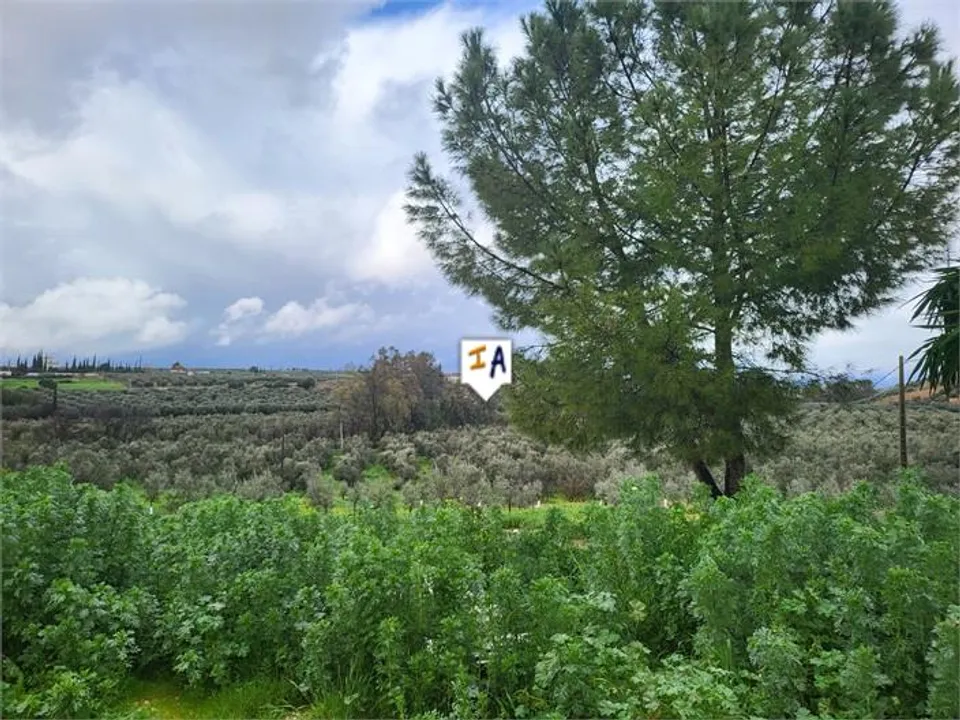 Cortijo i Casariche, Sevilla - foto 3