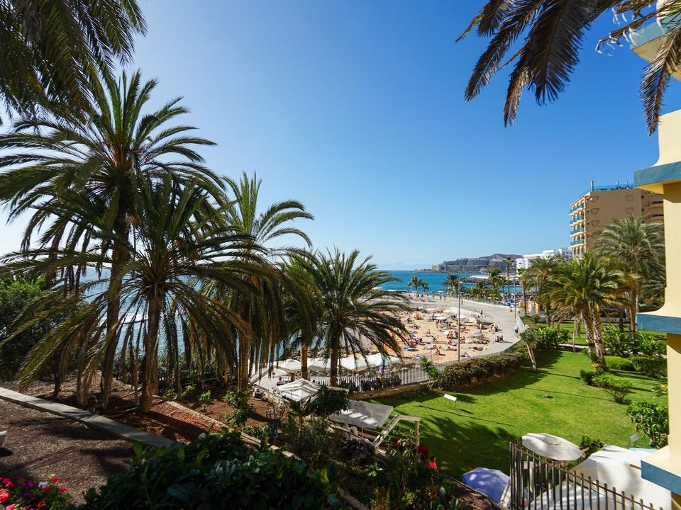 Terra a Mogan, Gran Canaria - foto 5