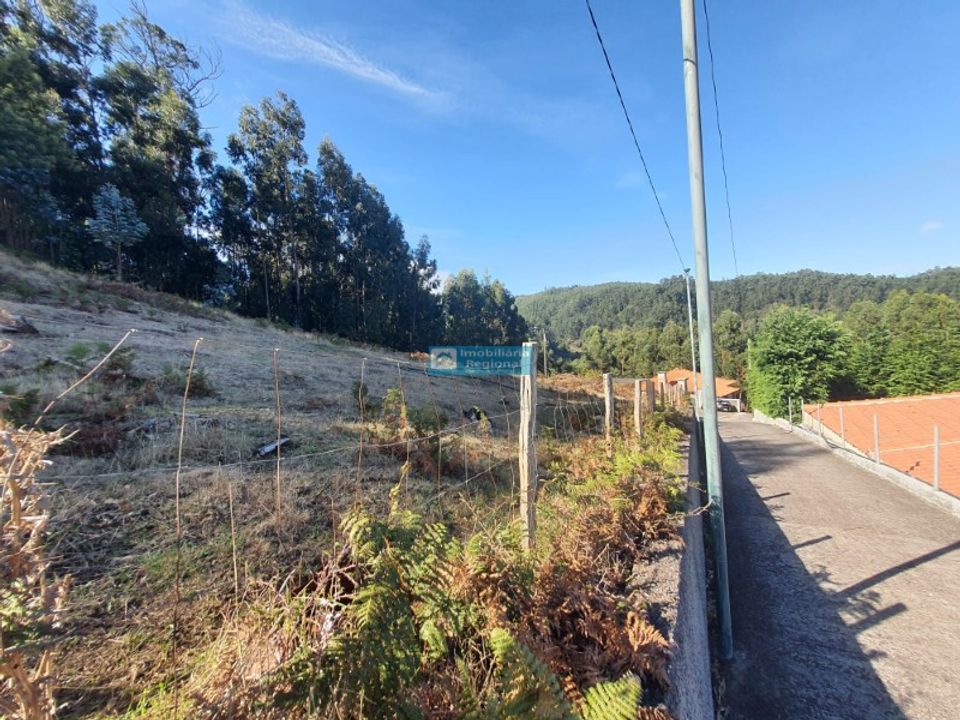 Helårsgrund i Camacha, Madeira - foto 1