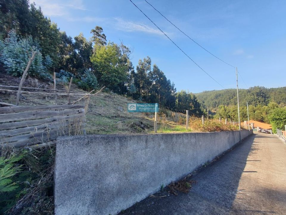 Helårsgrund i Camacha, Madeira - foto 2