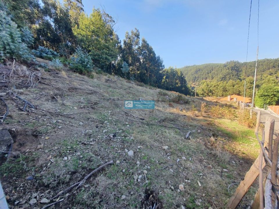 Helårsgrund i Camacha, Madeira - foto 4