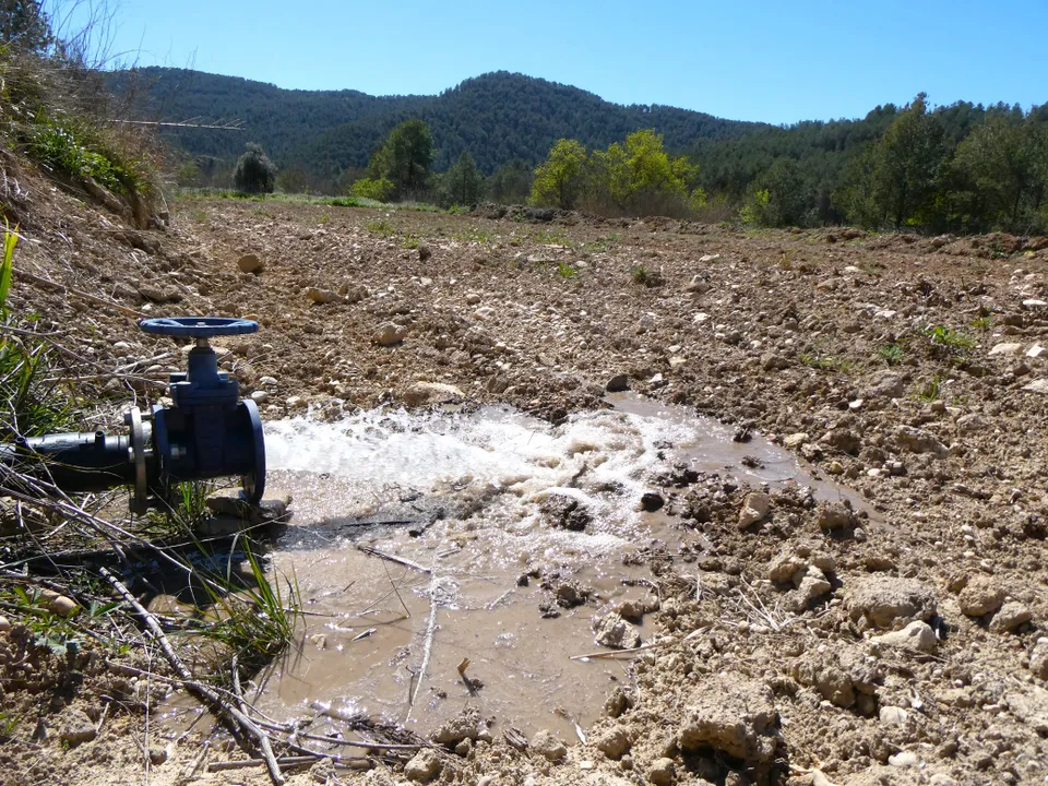 Finca i Caseres, Tarragona - foto 5