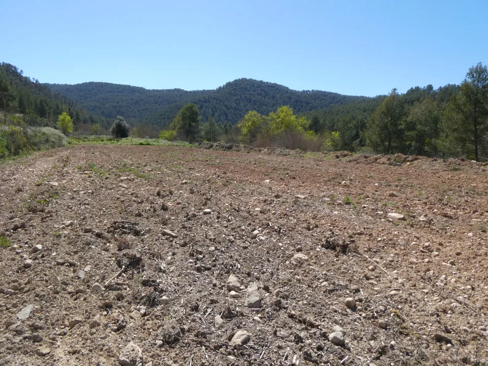 Finca i Caseres, Tarragona - foto 4