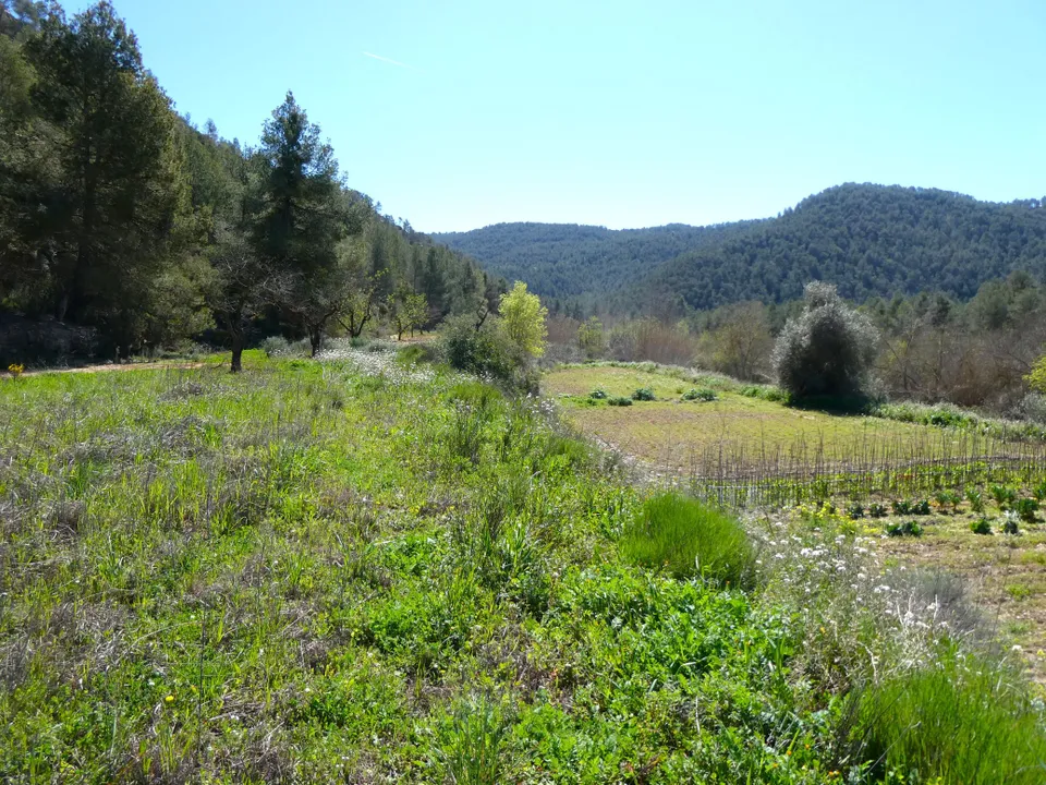 Finca i Caseres, Tarragona - foto 1