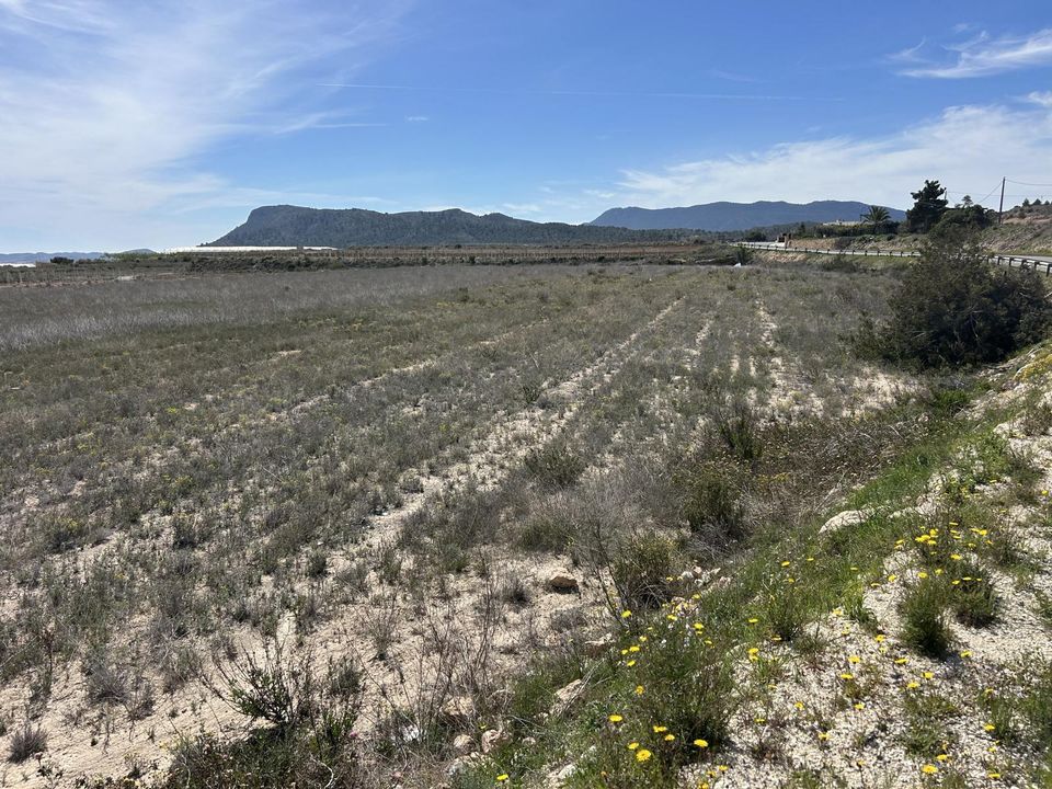 Helårsgrund i La Romana, Alicante - foto 4