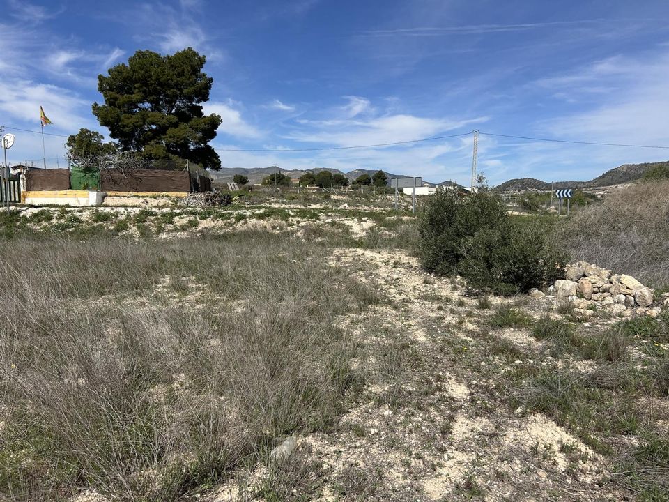 Helårsgrund i La Romana, Alicante - foto 3