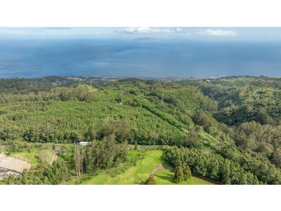Helårsgrund i Machico, Madeira - foto 4