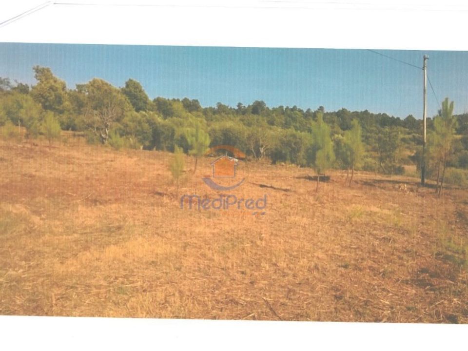 Terreno en Covas e Vila Nova de Oliveirinha, Coimbra - foto 1