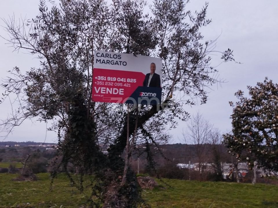 Helårsgrund i Tavares (Chas, Varzea e Travanca), Viseu - foto 2