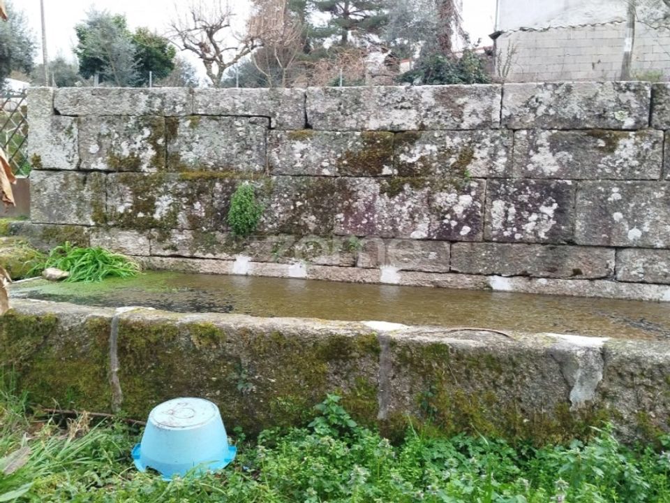 Helårsgrund i Tavares (Chas, Varzea e Travanca), Viseu - foto 5