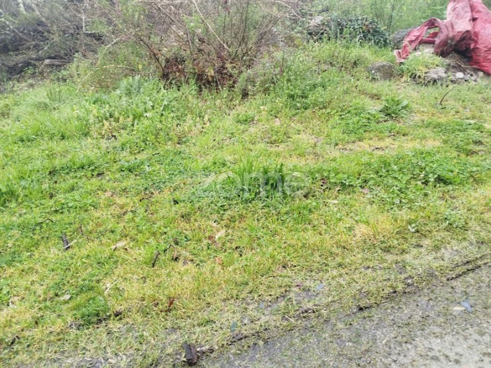 Helårsgrund i Mangualde, Viseu - foto 4