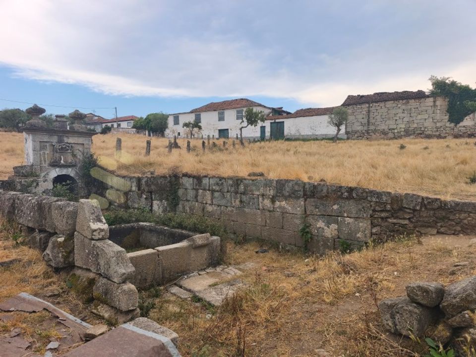 Farm Chavesssa, Vila Real - kuva 2