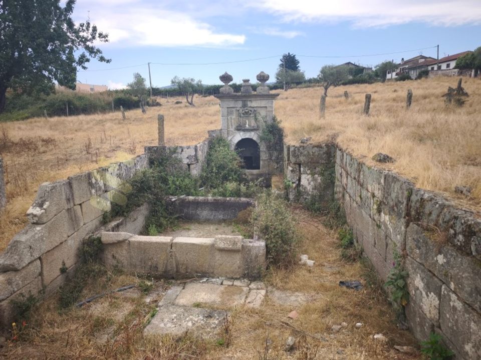 Farm Chavesssa, Vila Real - kuva 3