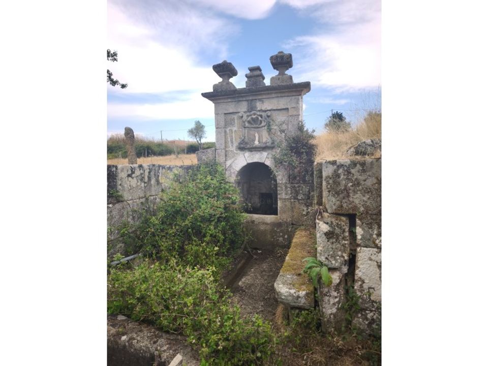 Farm Chavesssa, Vila Real - kuva 5