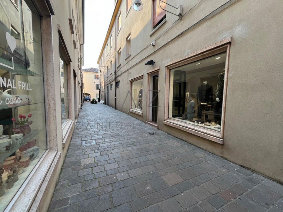 Erhvervsejendom i Castelfranco Veneto, Treviso - foto 3