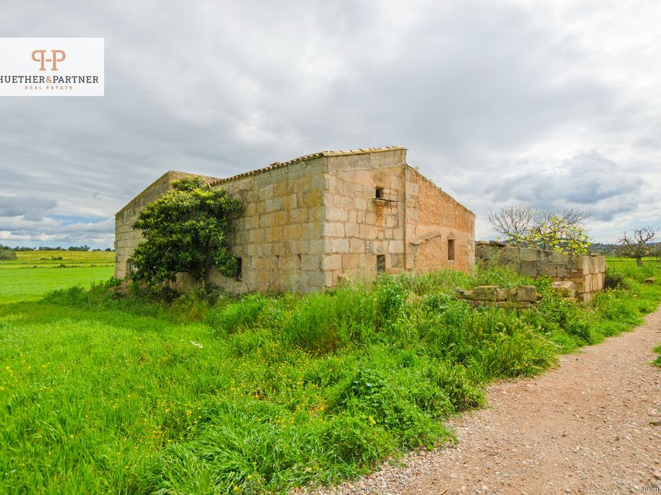 Landejendom i Manacor, Mallorca - foto 3
