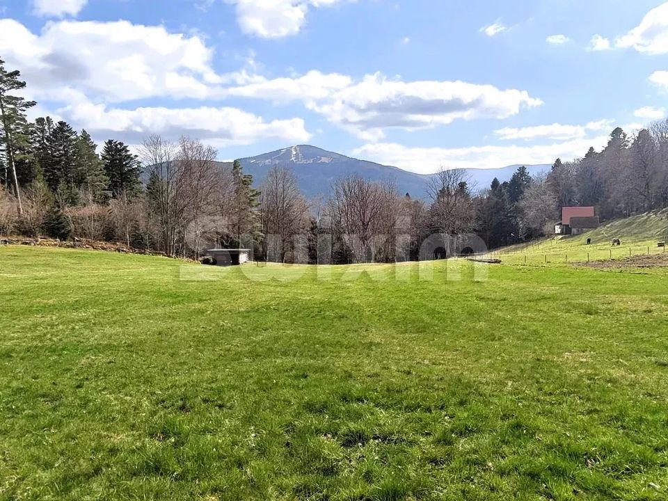 Villa i Munster, Haut-Rhin - bilde 4