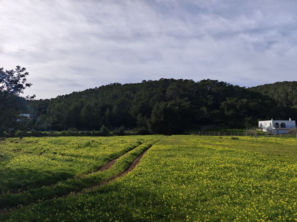 Terreno en Sant Joan de Labritja, Ibiza - foto 1