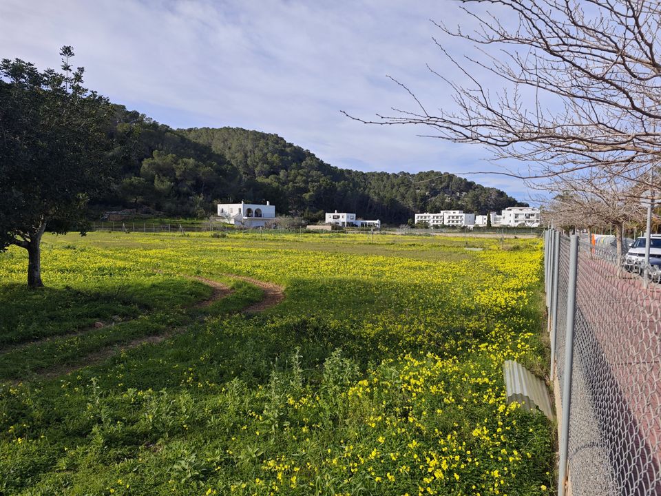 Terreno en Sant Joan de Labritja, Ibiza - foto 2
