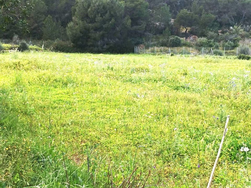 Terreno en Sant Joan de Labritja, Ibiza - foto 4