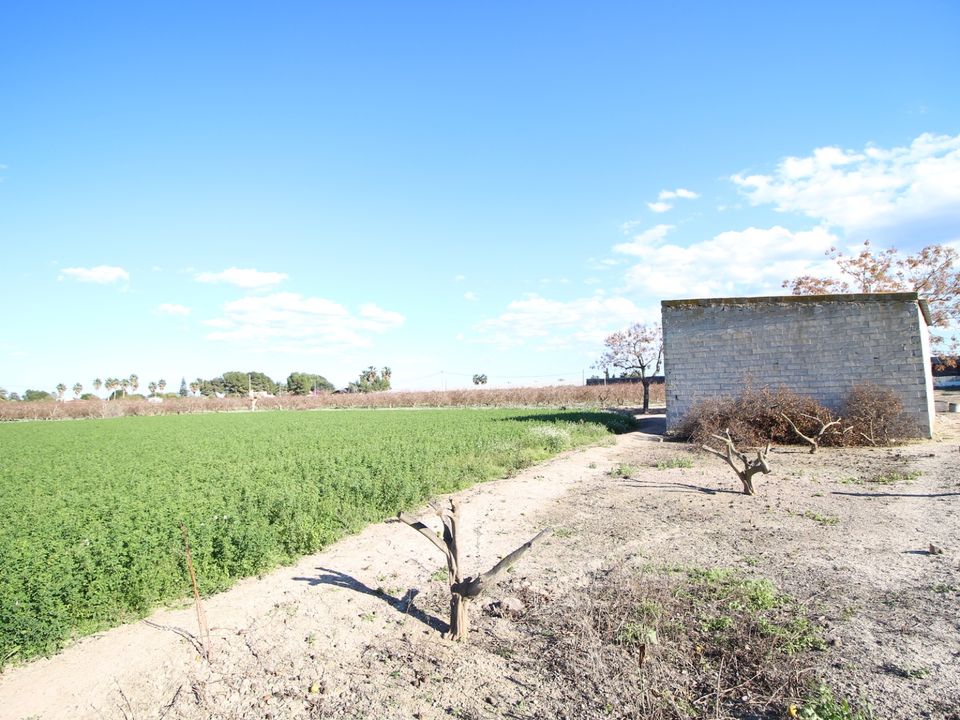 L'establiment comercial a Dolores, Alicante - foto 3
