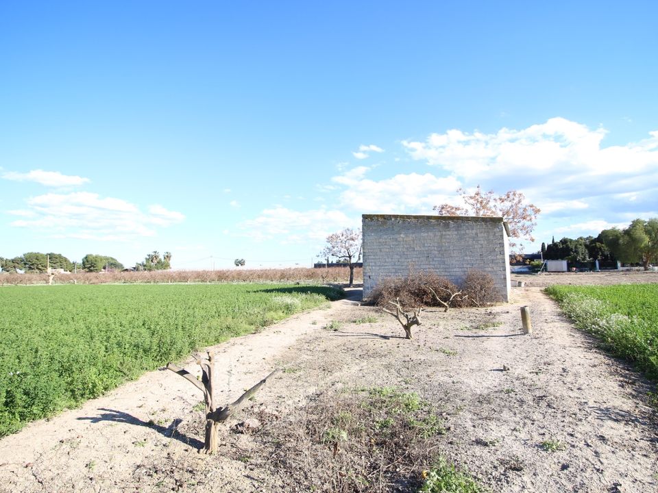 L'establiment comercial a Dolores, Alicante - foto 5