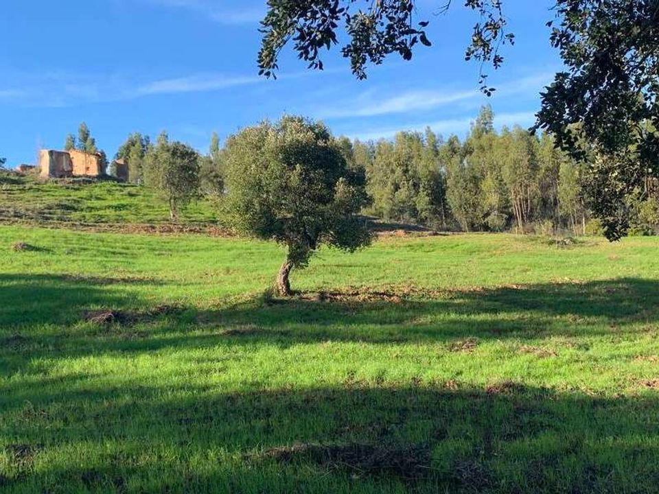 Villa i Odemira, Beja - foto 2