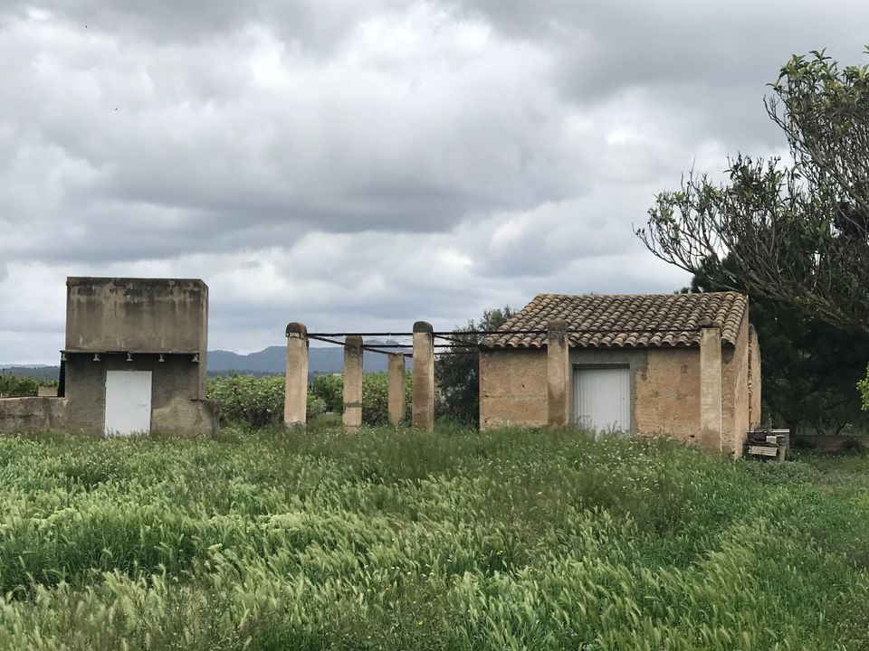 Finca i Ginestar, Tarragona - foto 2