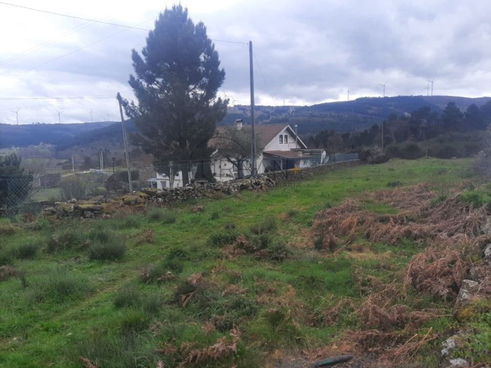 Tomt i Moimenta da Beira, Viseu - bilde 1