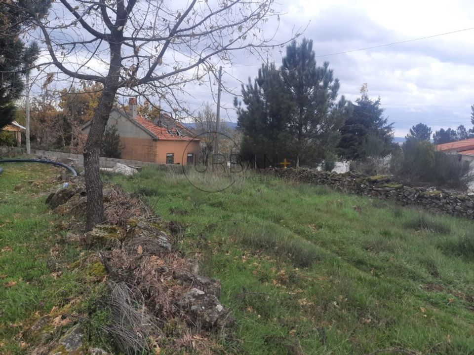 Tomt i Moimenta da Beira, Viseu - bilde 2