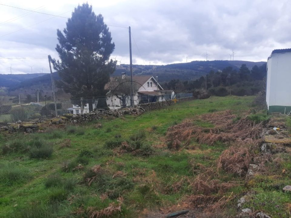 Tomt i Moimenta da Beira, Viseu - bilde 3