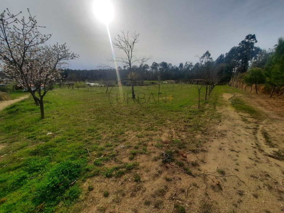 Helårsgrund i Cavernaes, Viseu - foto 1