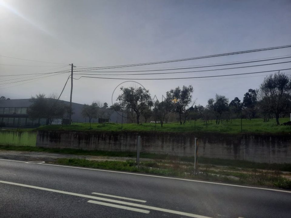 Helårsgrund i Cavernaes, Viseu - foto 2