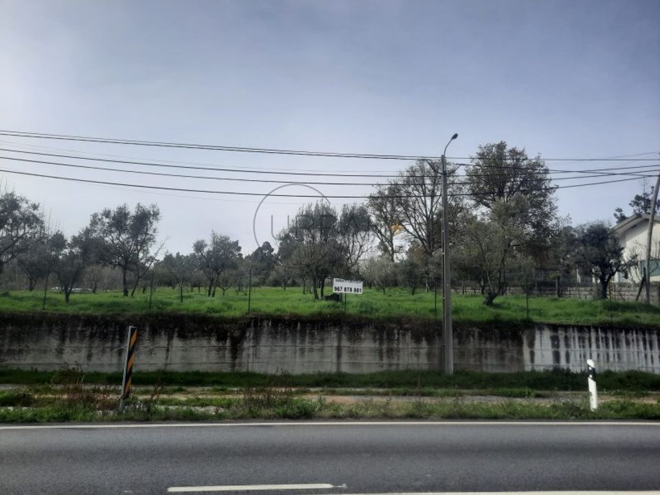 Helårsgrund i Cavernaes, Viseu - foto 3