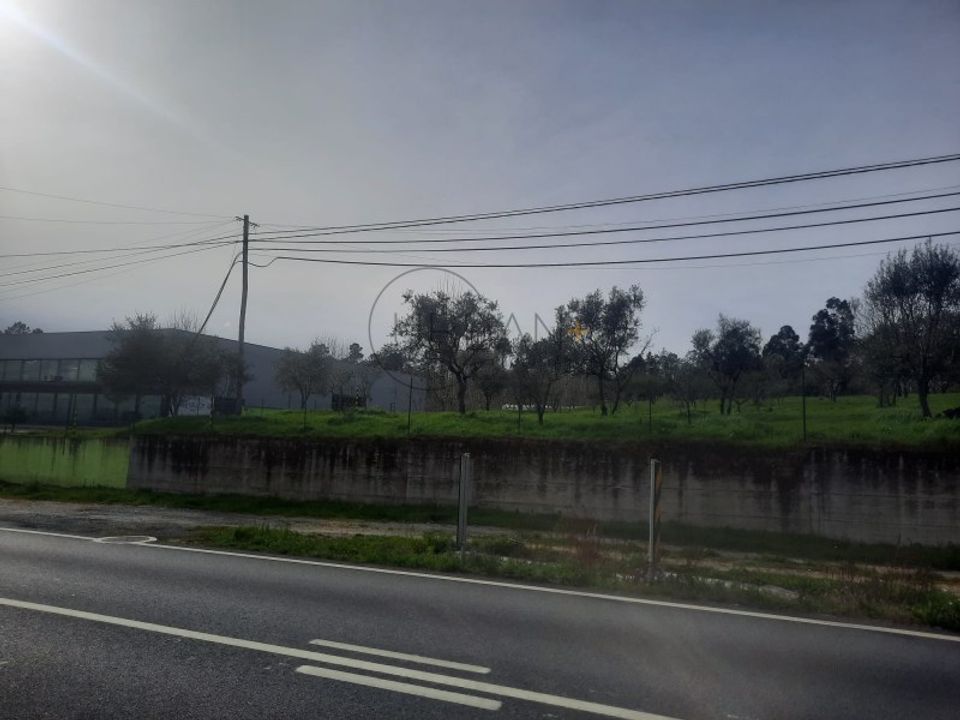 Helårsgrund i Cavernaes, Viseu - foto 4