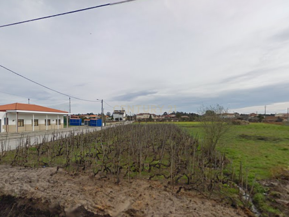 Tomt i Fonte de Angeao e Covao do Lobo, Aveiro - bilde 1