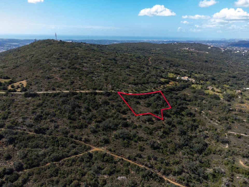 Helårsgrund i Santa Barbara de Nexe, Faro - foto 4