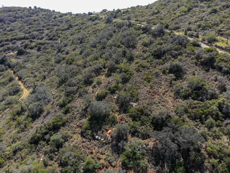 Helårsgrund i Santa Barbara de Nexe, Faro - foto 5