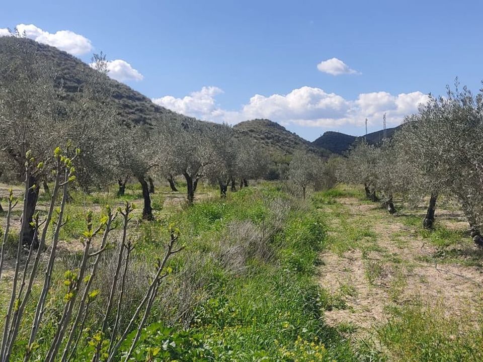 Helårsgrund i Sorbas, Almeria - foto 1