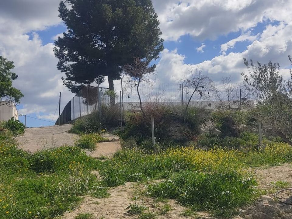 Helårsgrund i Sorbas, Almeria - foto 5