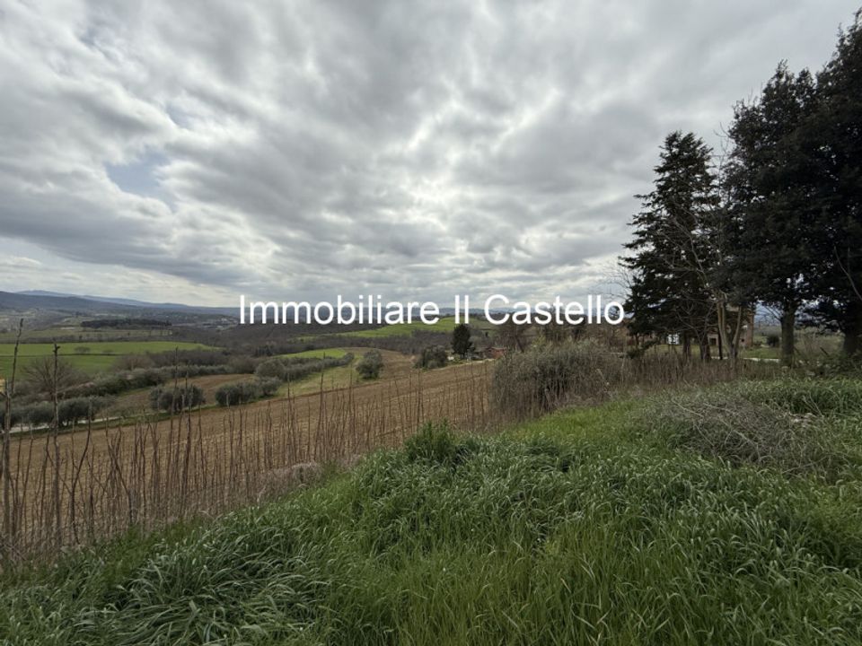 Tomt i Castiglione del Lago, Perugia - bilde 5