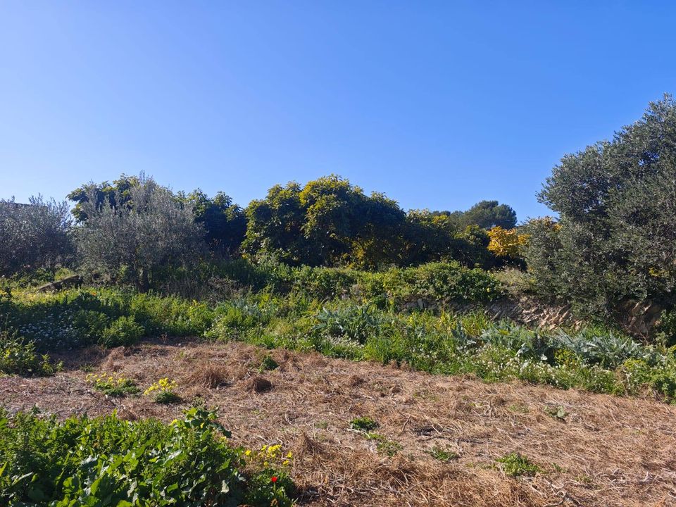 Tomt i Teulada, Alicante - bilde 1
