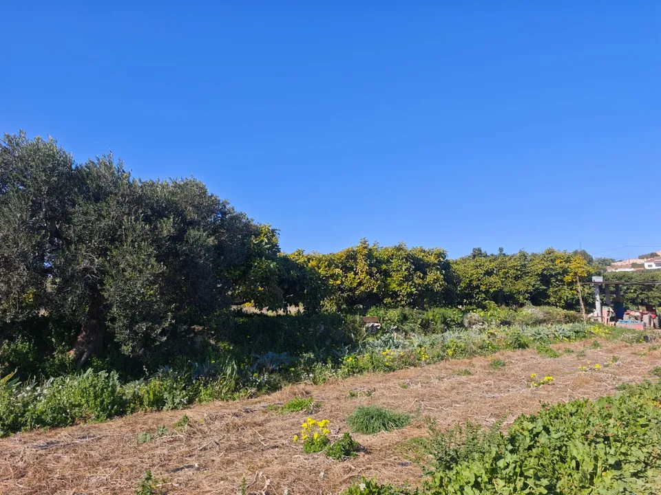 Tomt i Teulada, Alicante - bilde 2