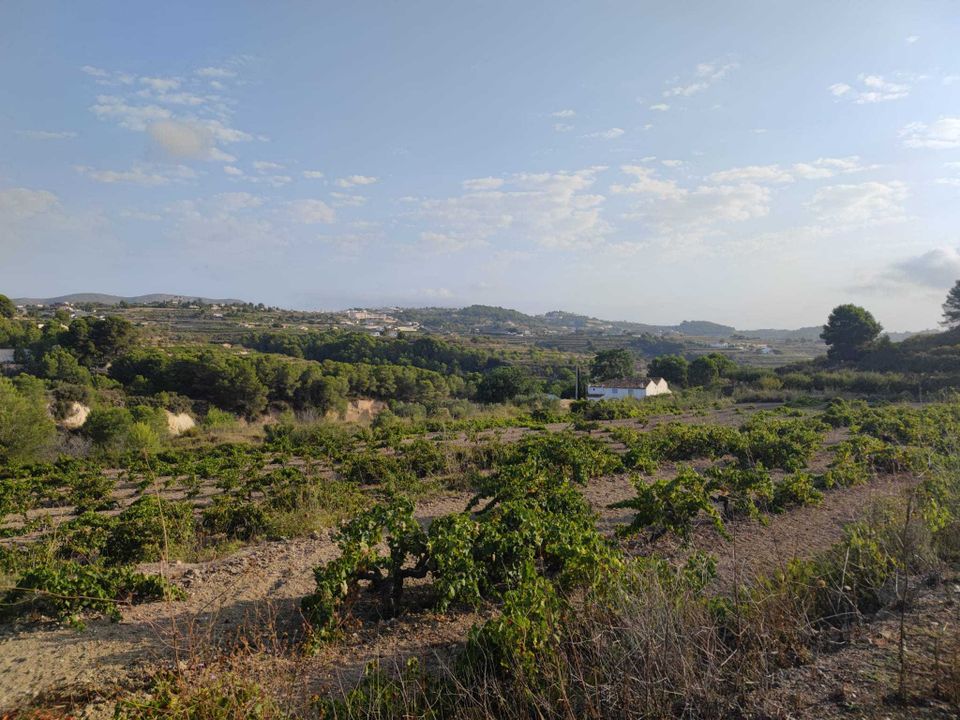 Tomt i Teulada, Alicante - bilde 2