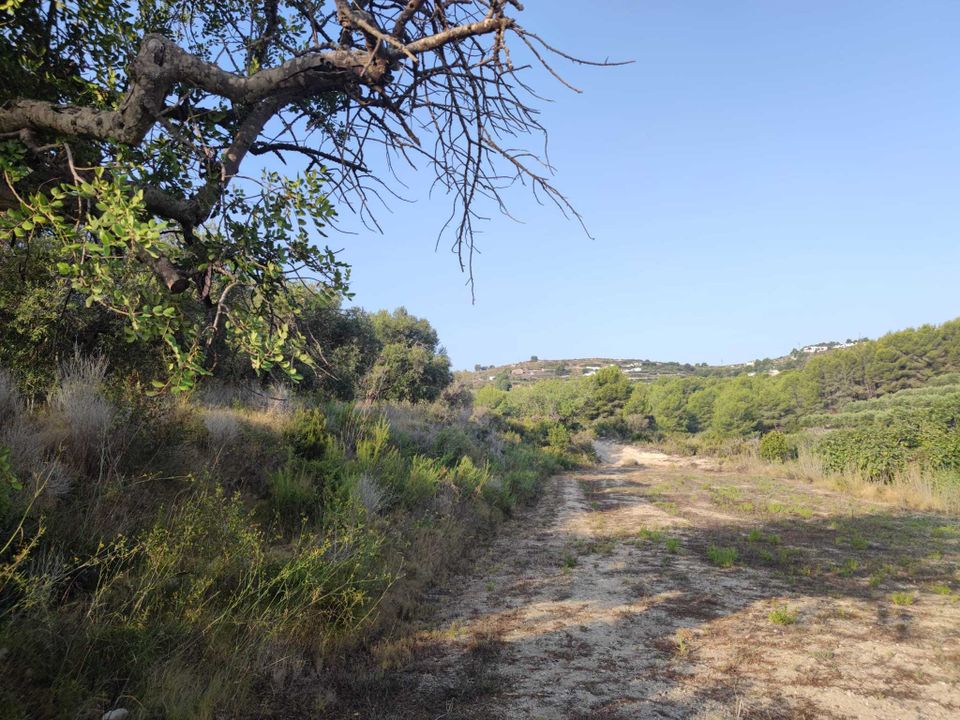 Tomt i Teulada, Alicante - bilde 3