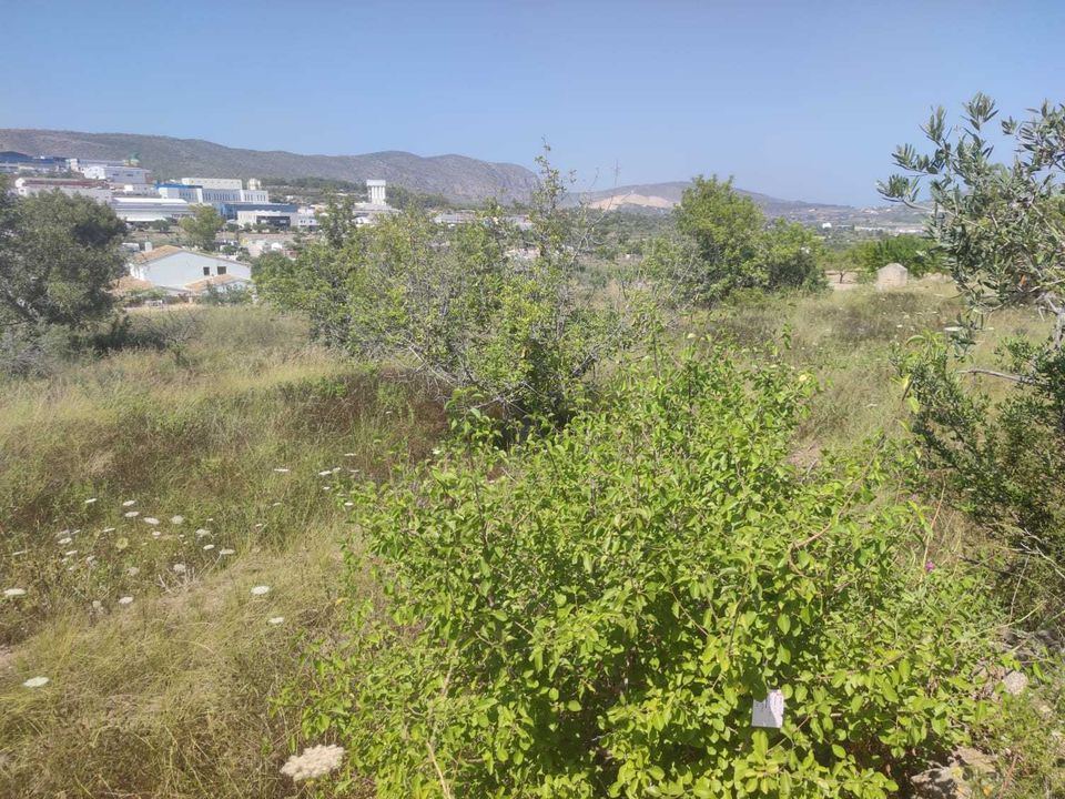 Helårsgrund i Benissa, Alicante - foto 1