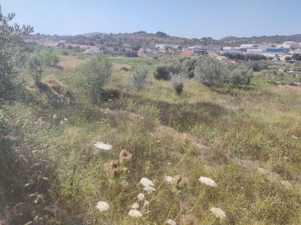 Helårsgrund i Benissa, Alicante - foto 2